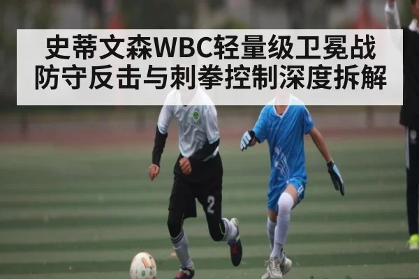 史蒂文森WBC轻量级卫冕战 防守反击与刺拳控制深度拆解